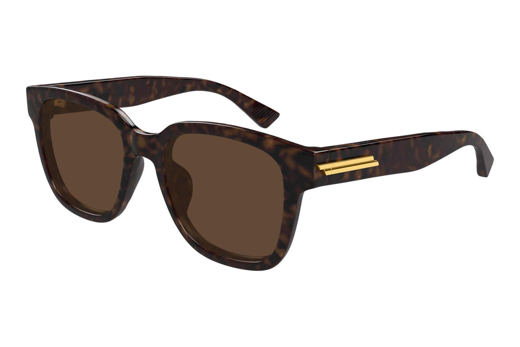 Bottega Veneta BV1461SK 002 HAVANA Bottega Veneta BV1461SK 002 HAVANA