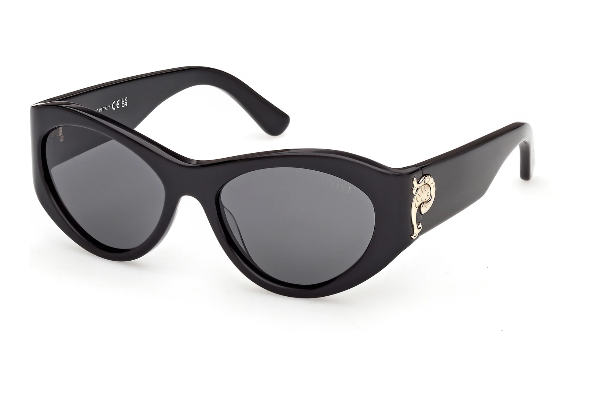 Emilio Pucci EP0249 01A grauGlänzend Schwarz Emilio Pucci EP0249 01A grauGlänzend Schwarz