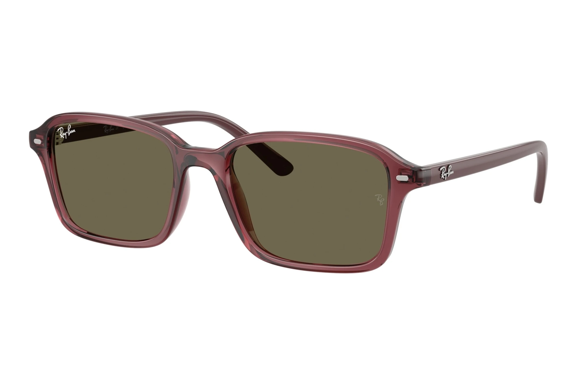 Ray-Ban Kids RJ9131S 7197/3 BrownTransparent Dark Violet Ray-Ban Kids RJ9131S 7197/3 BrownTransparent Dark Violet