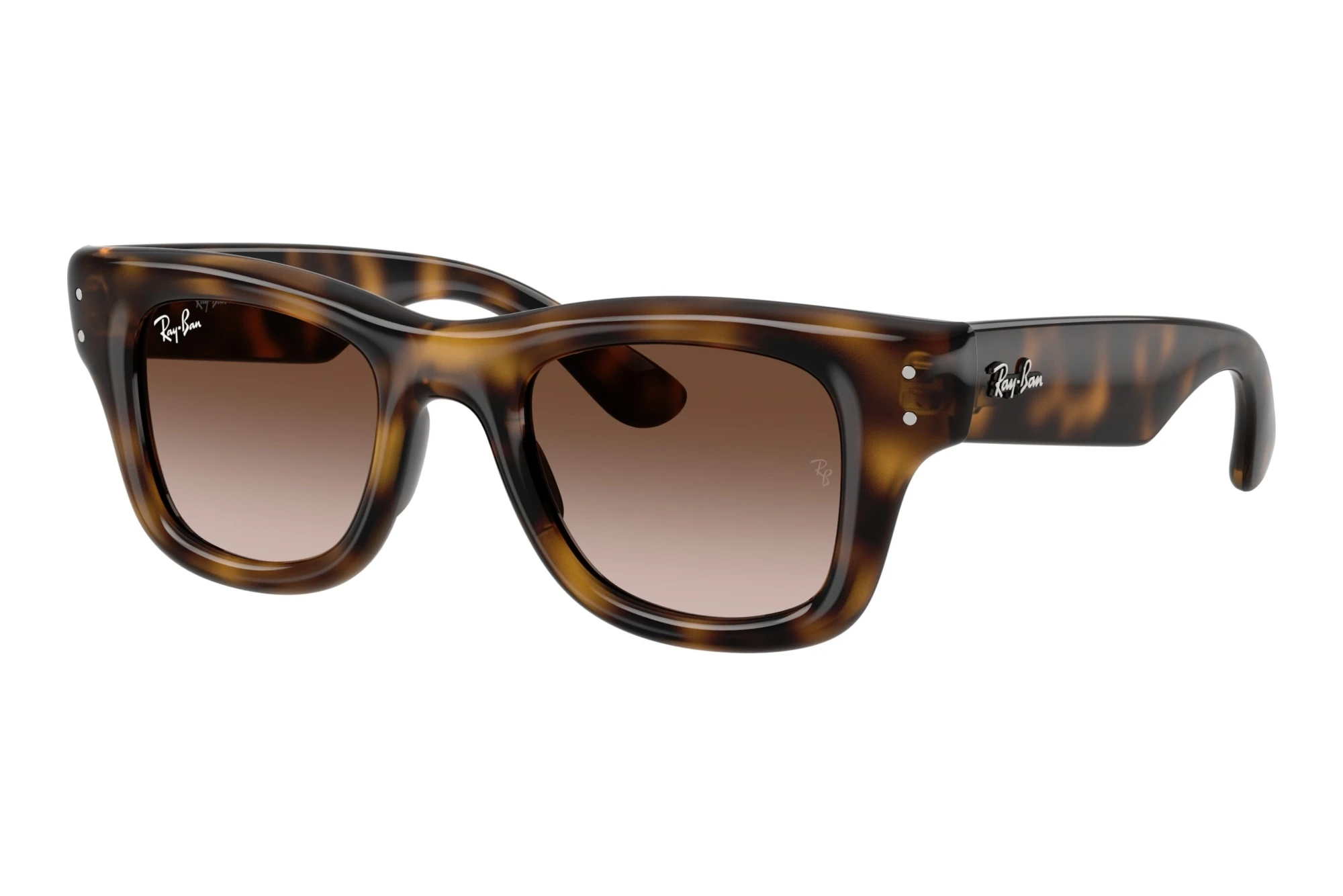 Ray-Ban Kids RJ9240S 152/13 Light Brown Gradient Dark BrowHavana Ray-Ban Kids RJ9240S 152/13 Light Brown Gradient Dark BrowHavana
