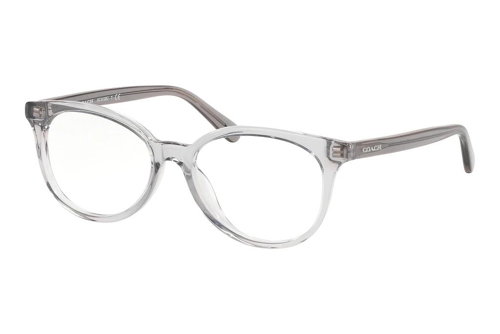 Coach   HC6138U 5176 Transparent Grey