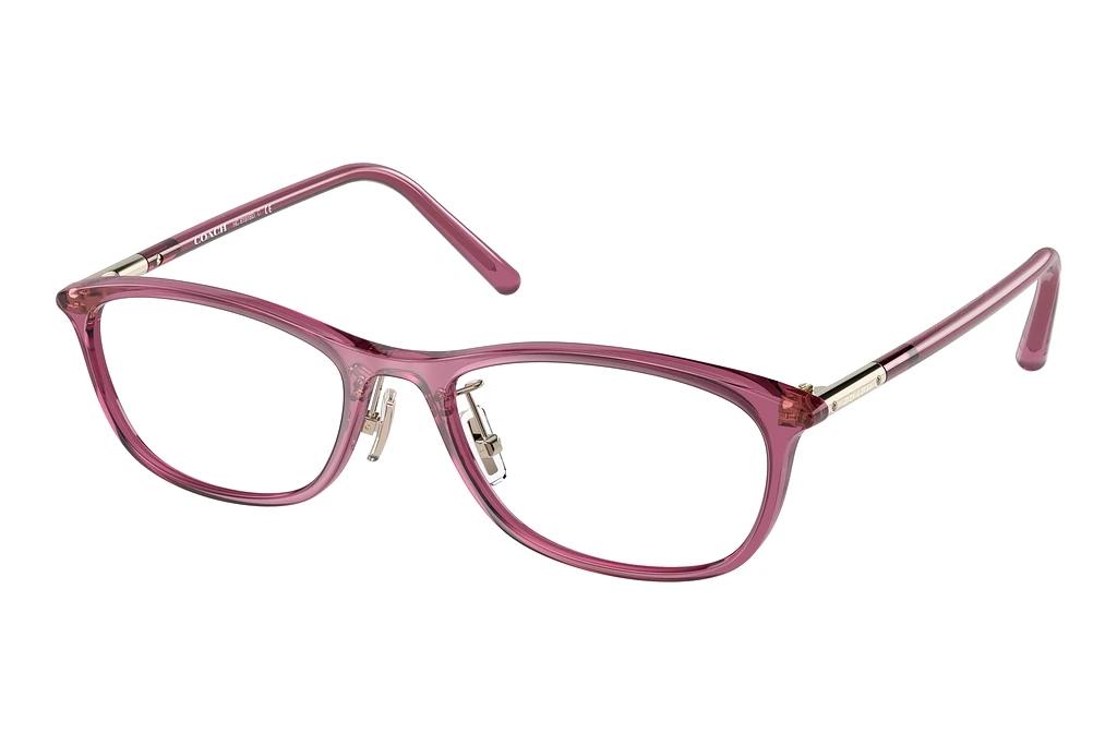 Coach   HC6191BD 5677 Transparent Dark  Mauve