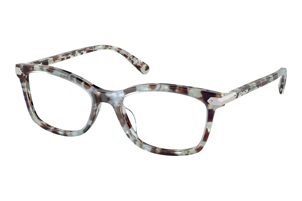 Coach   HC6219U 5778 Seaglass Tortoise