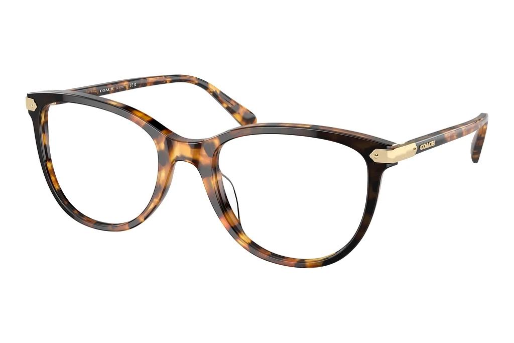 Coach   HC6220U 5776 Honey Tortoise Black Gradient