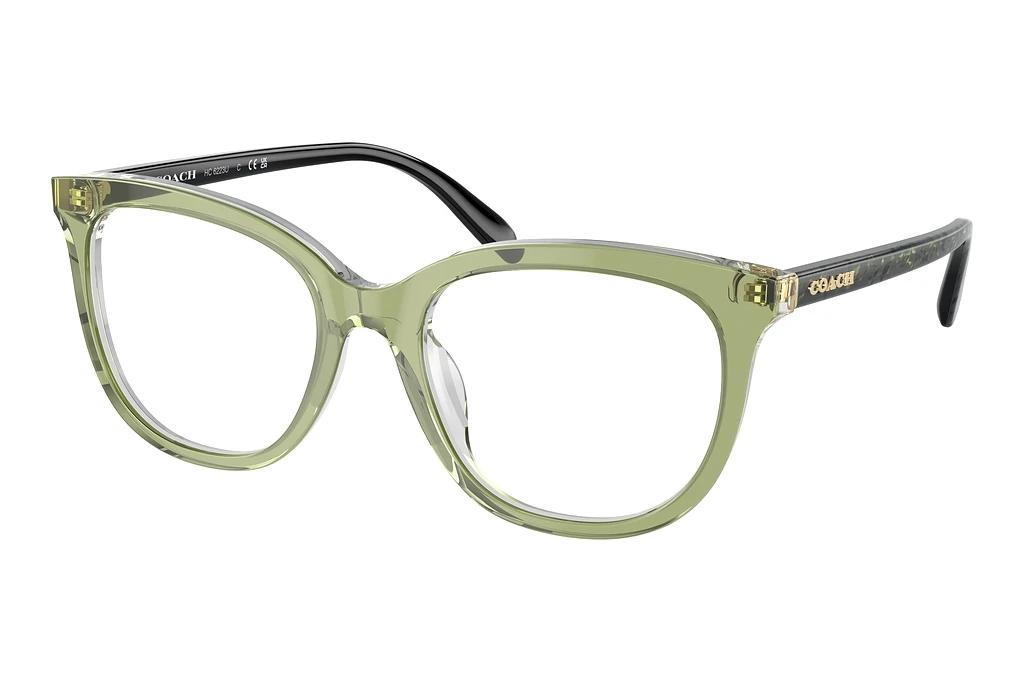 Coach   HC6223U 5786 Transparent Green Hopper