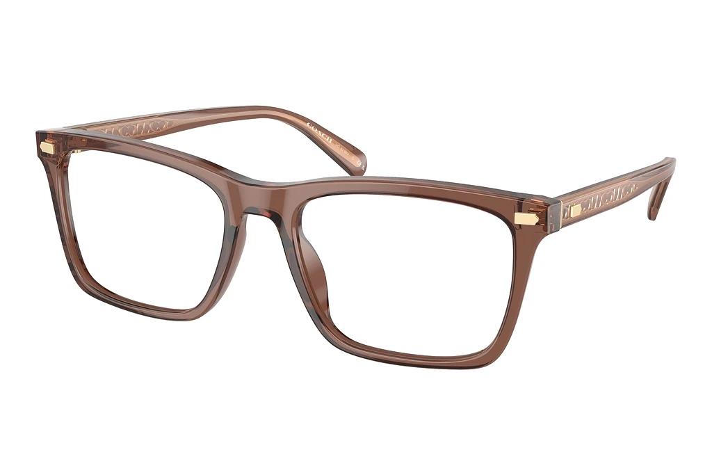 Coach   HC6238U 5819 Transparent Pecan
