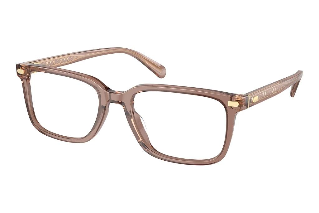 Coach   HC6239U 5819 Transparent Pecan
