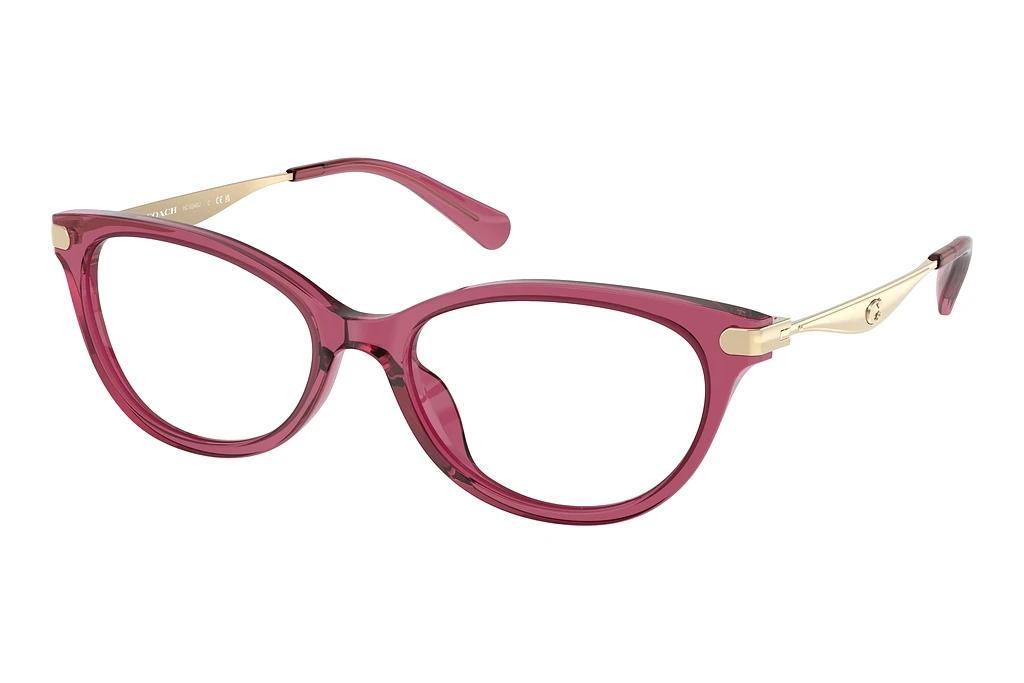Coach   HC6245U 5824 Transparent Burgundy