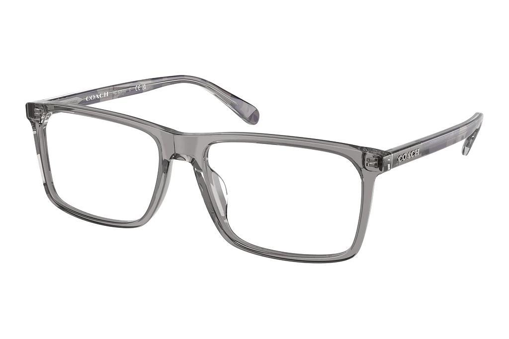 Coach   HC6251U 5849 Transparent Grey