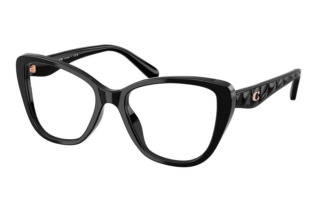 Coach   HC6255U 5002 Black