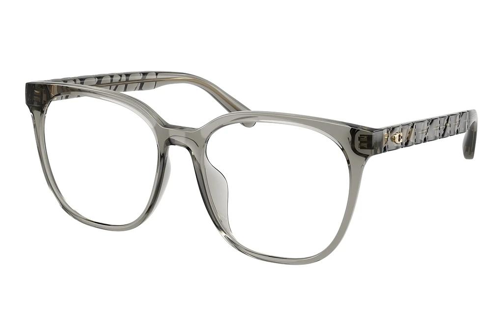 Coach   HC6267D 5886 Transparent Light Grey