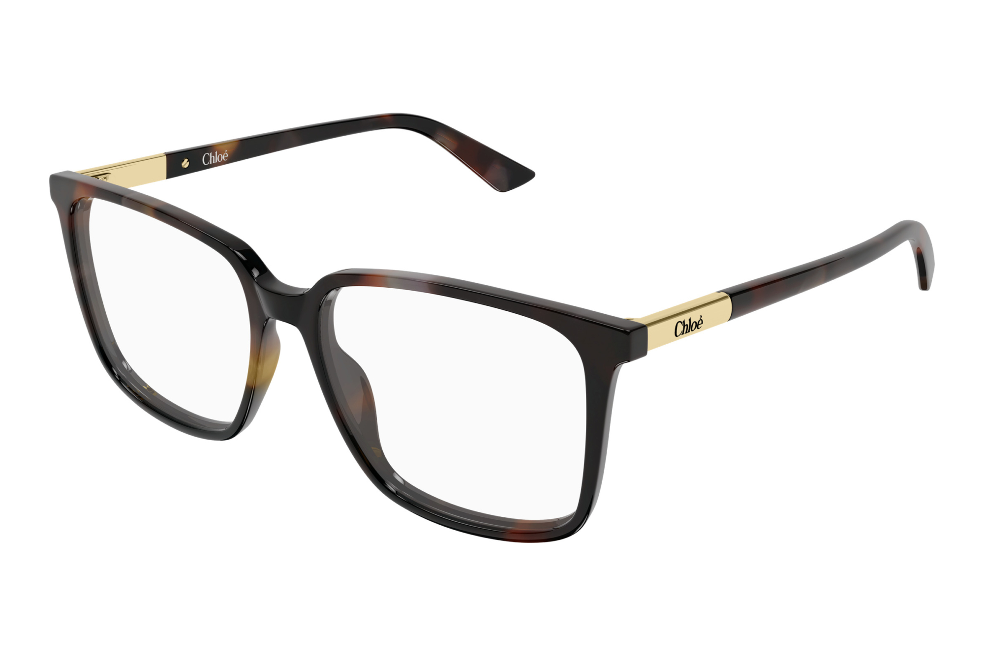 Chloé   CH0369O 003 HAVANA