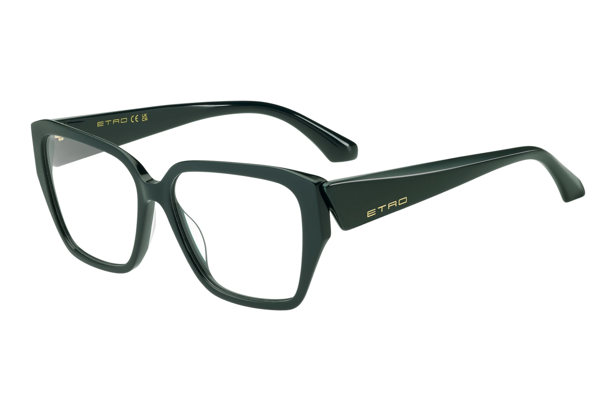 Etro   ETRO 0146 1ED GREEN