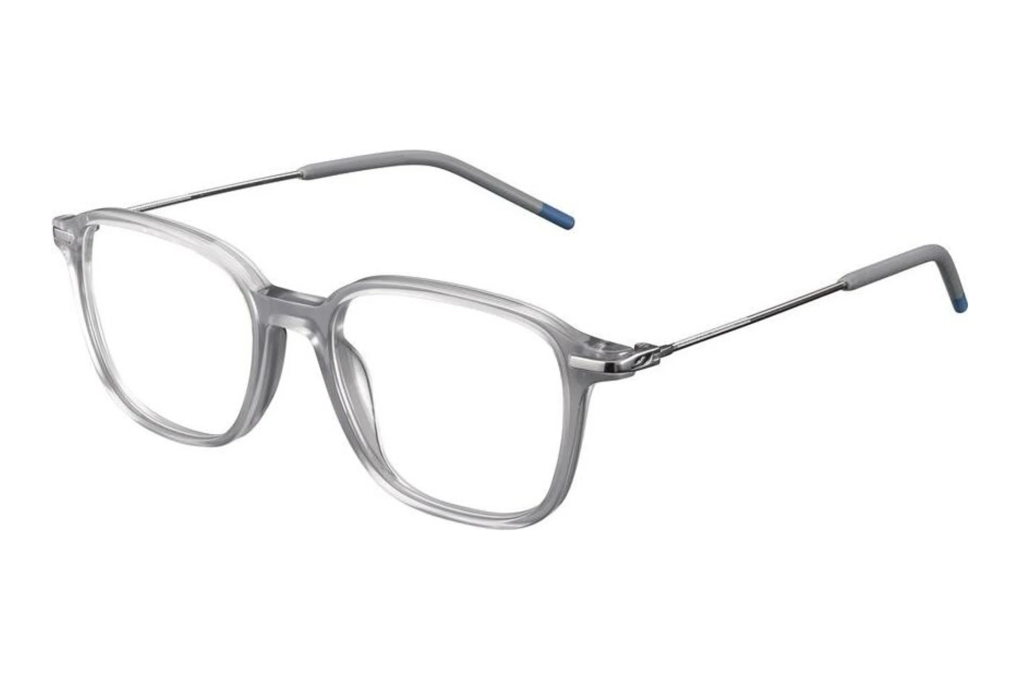 Julbo   RIDGE 27_JOP1421 Grau Durchscheinend / Grau / Blau