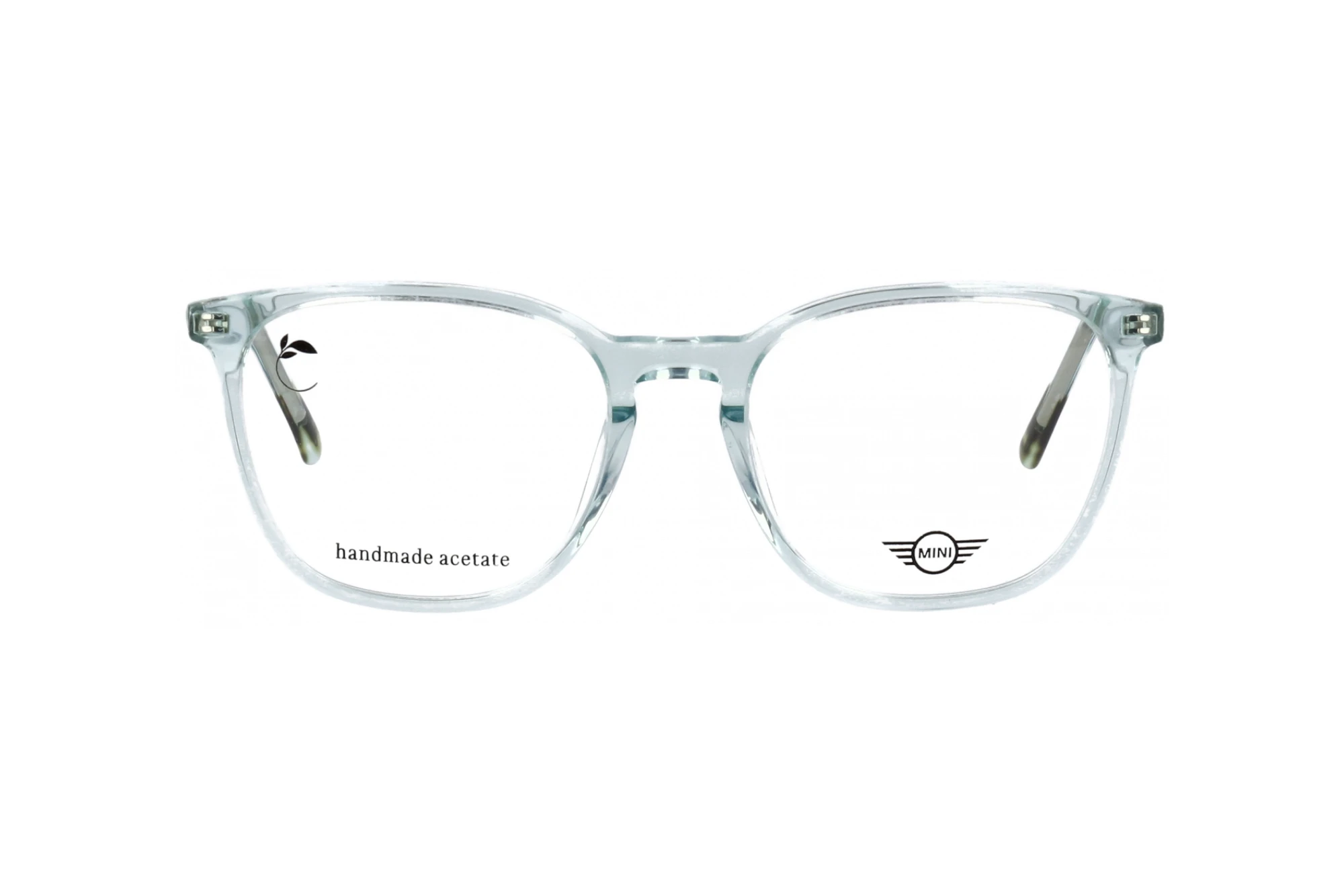 Vorderansicht MINI Eyewear MI 743021 (42)