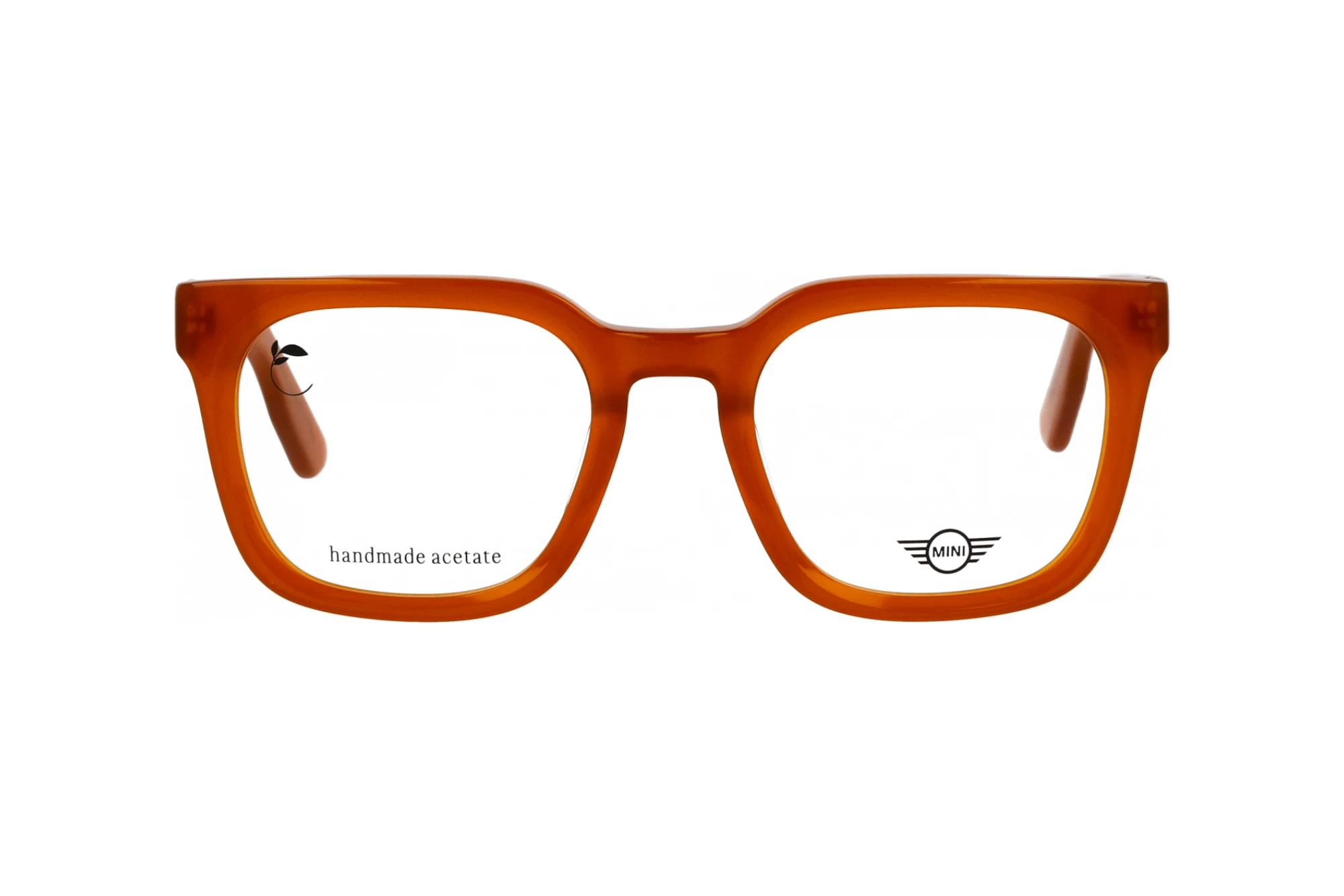 Vorderansicht MINI Eyewear MI 743025 (80)