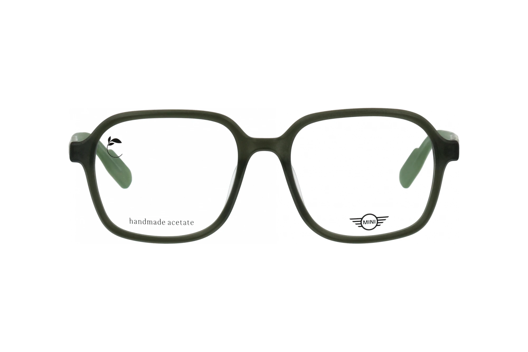 Vorderansicht MINI Eyewear MI 743027 (40)