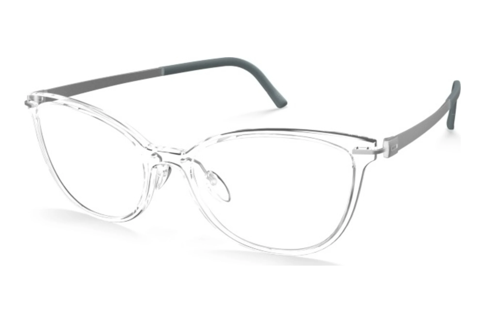 Silhouette   1600 1110 crystal clear