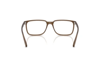 Vista posteriore Arnette JECKO (AN7280 - 2997)