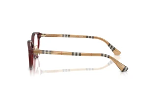 Vue latérale Burberry BE2435D (4176)
