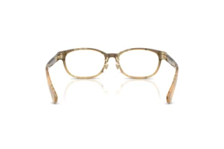Vista posteriore Burberry BE2447D (4201)