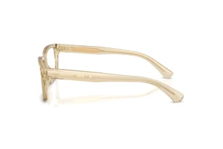 Vue latérale Burberry BE2453 (4226)