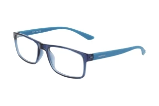 Vorderansicht Calvin Klein CK19569N (430)