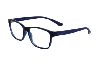 Vue de face Calvin Klein CK23528N (438)