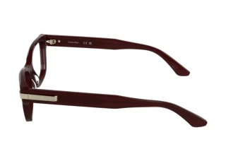 Vue latérale Calvin Klein CK25541 (605)