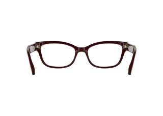 Vue arrière Calvin Klein CK25541 (605)