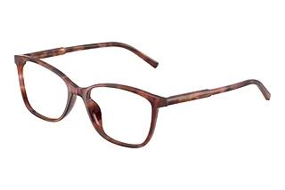 Dolce & Gabbana DG 3424 3444