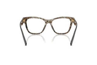 Vista posteriore Dolce & Gabbana DG3430 (3299)