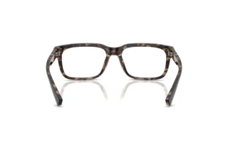 Vue arrière Dolce & Gabbana DG3432 (3417)