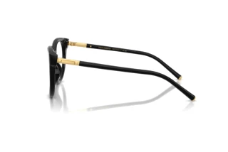 Vue latérale Dolce & Gabbana DG3433 (501)