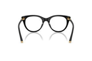 Vue arrière Dolce & Gabbana DG3433 (501)