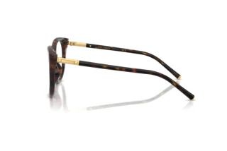 Vue latérale Dolce & Gabbana DG3433 (502)