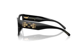 Seitenansicht Dolce & Gabbana DG3435B (501)