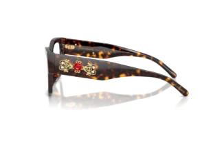 Seitenansicht Dolce & Gabbana DG3435B (502)