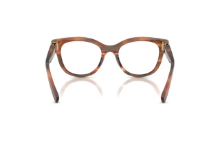 Vue arrière Dolce & Gabbana DG3437 (3221)