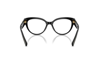 Vue arrière Dolce & Gabbana DG3440 (501)