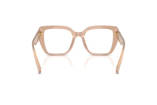 Vue arrière Dolce & Gabbana DG3441 (3042)