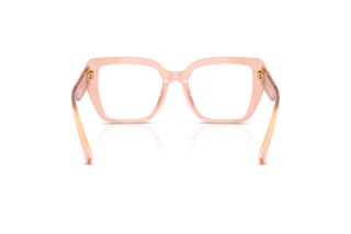 Vue arrière Dolce & Gabbana DG3441 (3384)