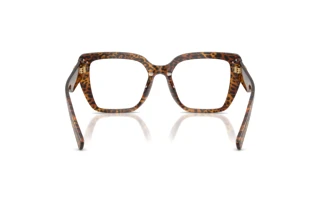 Vue arrière Dolce & Gabbana DG3441 (3470)