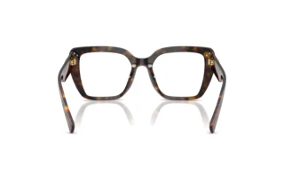 Vue arrière Dolce & Gabbana DG3441 (502)