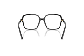 Vue arrière Dolce & Gabbana DG3442 (501)