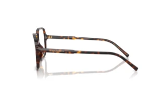 Vista laterale Dolce & Gabbana DG3442 (502)