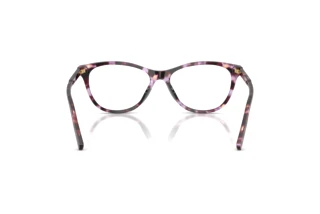 Vue arrière Dolce & Gabbana DG3443 (3477)