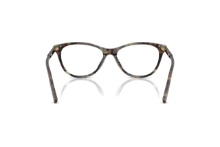 Vue arrière Dolce & Gabbana DG3443 (3478)