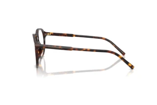 Vue latérale Dolce & Gabbana DG3444 (502)