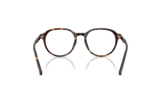 Vue arrière Dolce & Gabbana DG3444 (502)